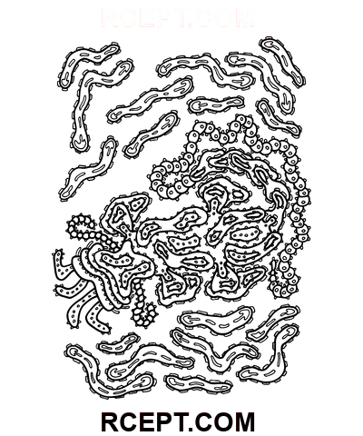 psykedelisk hand ritning målarbok