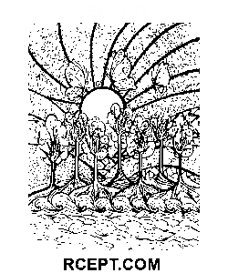 psykedelisk teckning målarbok