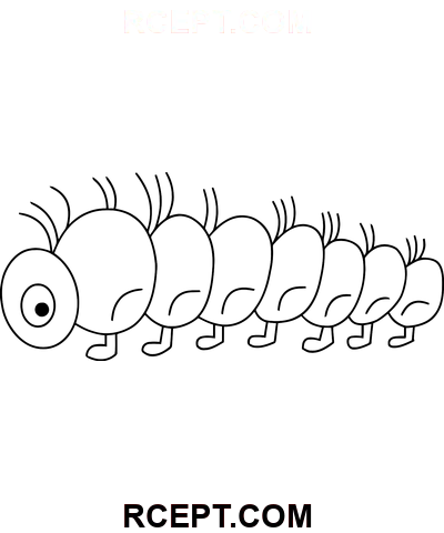 ritning, larv Clip Art Teckning målarbok
