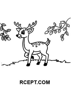 Roztomilý jelen omalovánka