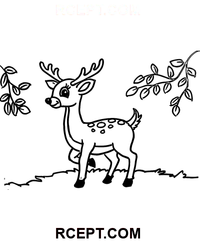 Roztomilý jelen omalovánka
