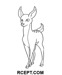 Malý jelen omalovánka