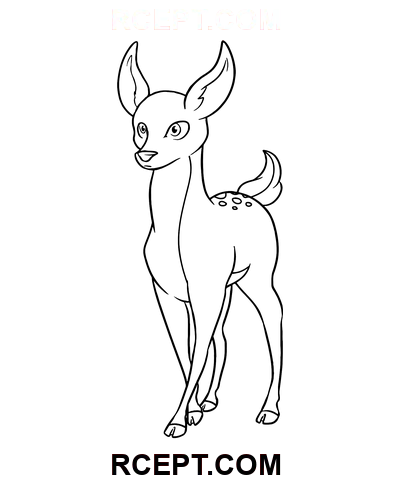 Malý jelen omalovánka