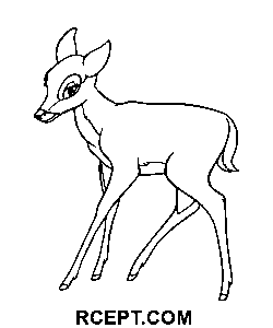 Dospělý Faline omalovánka
