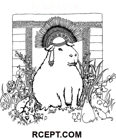 Pěkná kapybara omalovánka