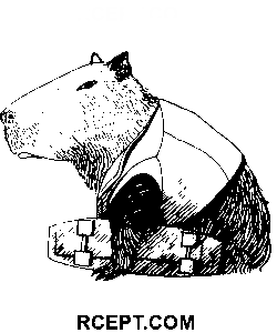 Legrační kapybara omalovánka