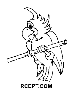 Ptačí papoušek omalovánka