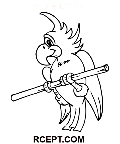 Ptačí papoušek omalovánka