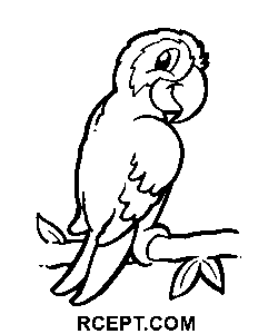 Kreslený papoušek pro dívky omalovánka