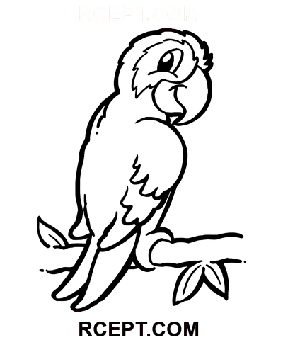 Kreslený papoušek pro dívky omalovánka