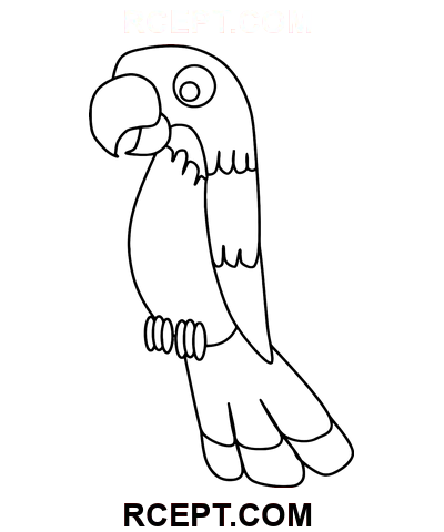 Kreslený papoušek Ruční kresba omalovánka