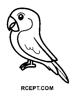 Roztomilý jednoduchý papoušek omalovánka