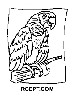 Kreslený papoušek k vytisknutí omalovánka