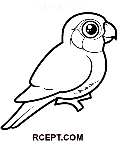 Kreslený papoušek omalovánka