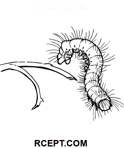Чертеж Caterpillar PDF раскраска