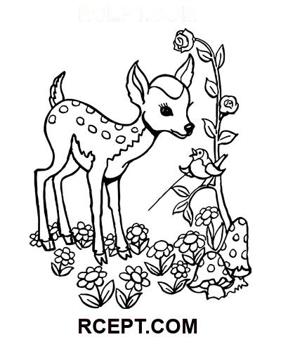 Bir geyik yavrusu boyama sayfası
