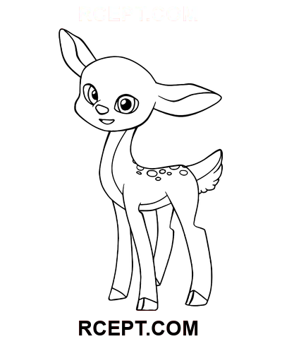 Sevimli Geyik Nasıl Çizilir boyama sayfası