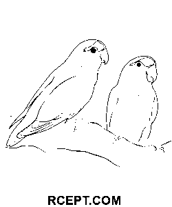 Aşk Kuşları Sevimli boyama sayfası