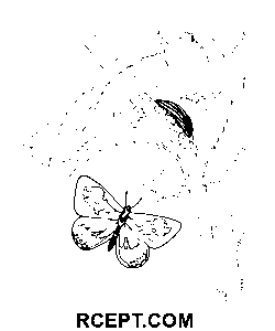 Caterpillar Kolay Çizim boyama sayfası