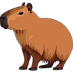 Capybara