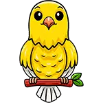 Oiseaux
